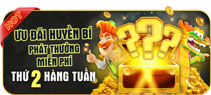 Phản hồi nhanh chóng v888