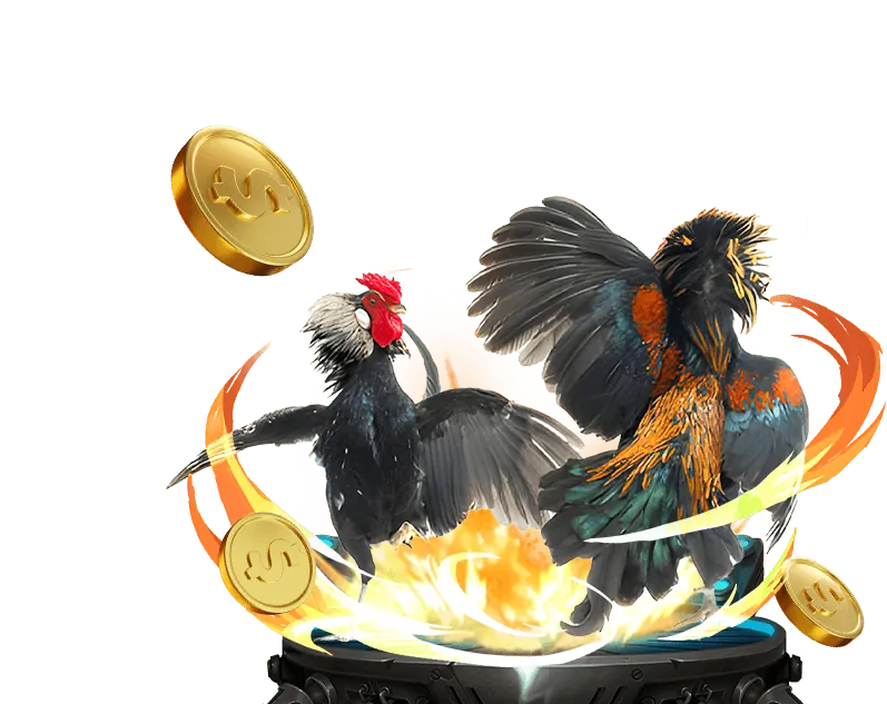 Cách v888 Đá Gà Trực Tiếp sử dụng dữ liệu để cải thiện dịch vụ và bảo mật